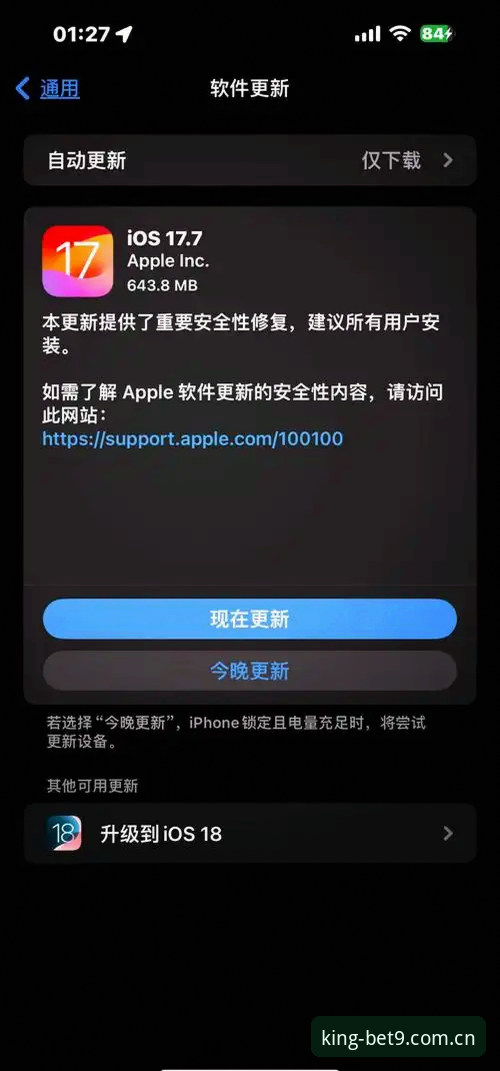 BET9官网苹果iOS版 资深用户分享:BET9官网苹果iOS版下载安装与使用心得,实战经验全解析